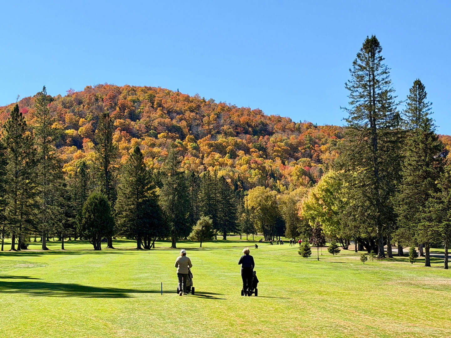 Joueur qui marche sur le terrain du Club de Golf Val-Morin