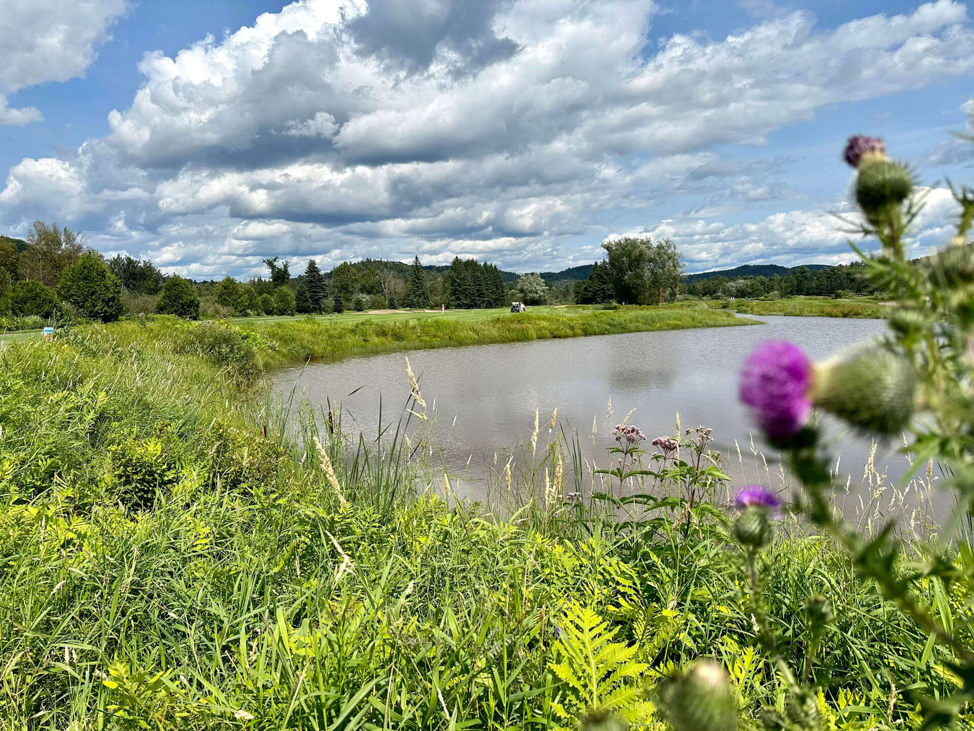 Plan d'eau entouré de verdure sur le parcours du Club de Golf Val-Morin